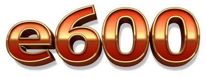 e6000 logo